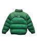 THE NORTH FACE (ザ ノース フェイス) 00Sセンターロゴヌプシダウンジャケット グリーン サイズ:M：25000円
