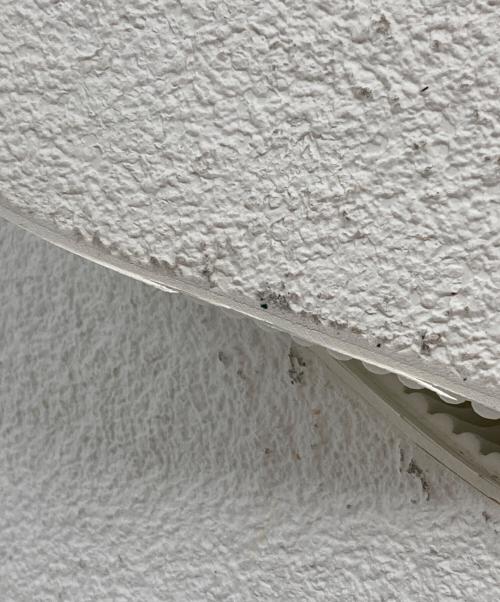 JIL SANDER（ジルサンダー）JIL SANDER (ジルサンダー) プラットフォームスニーカー ホワイト サイズ:45の古着・服飾アイテム