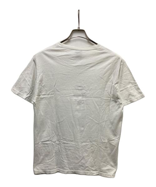 stussy（ステューシー）stussy (ステューシー) Dino Tee ホワイト サイズ:Mの古着・服飾アイテム