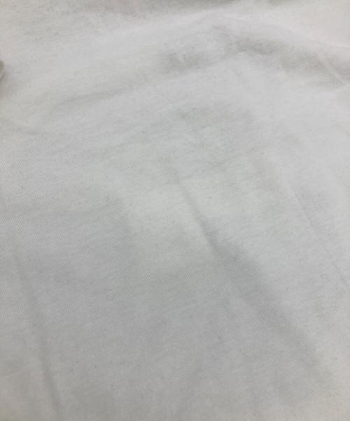 stussy（ステューシー）stussy (ステューシー) Dino Tee ホワイト サイズ:Mの古着・服飾アイテム