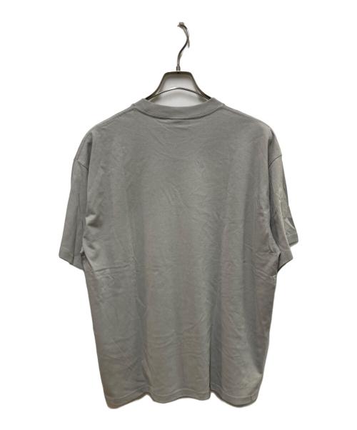 WBSB（ダブリュー・ビー・エス・ビー）WBSB (ダブリュー・ビー・エス・ビー) 偉人プリントTシャツ グレー サイズ:SIZE Mの古着・服飾アイテム