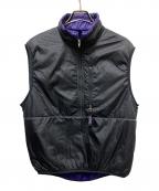 Patagoniaパタゴニア）の古着「PUFF BALL VEST」｜ブラック×パープル