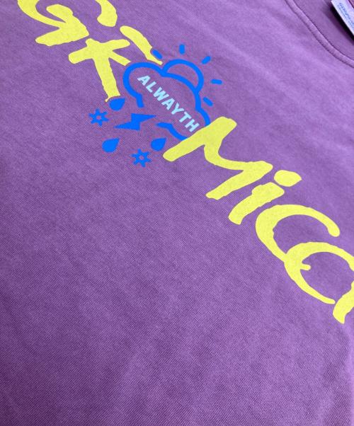 GRAMICCI（グラミチ）GRAMICCI (グラミチ) ALWAYTH (オールウェイズ) GRAPHIC T-SHIRT レッド サイズ:M 未使用品の古着・服飾アイテム
