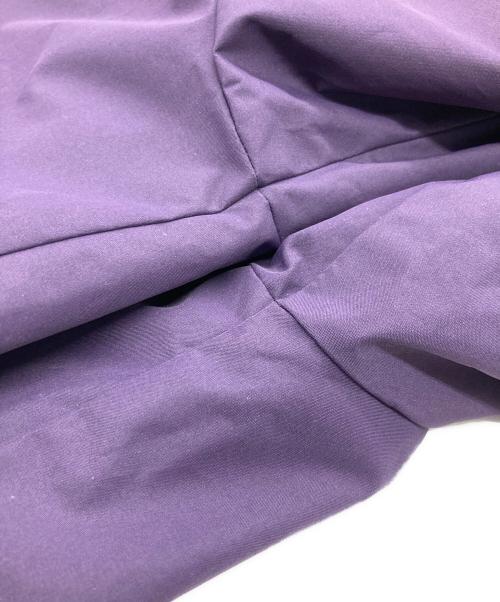 THE NORTH FACE（ザ ノース フェイス）THE NORTH FACE (ザ ノース フェイス) HYDRENA WIND JACKET パープル×ブラック サイズ:Lの古着・服飾アイテム
