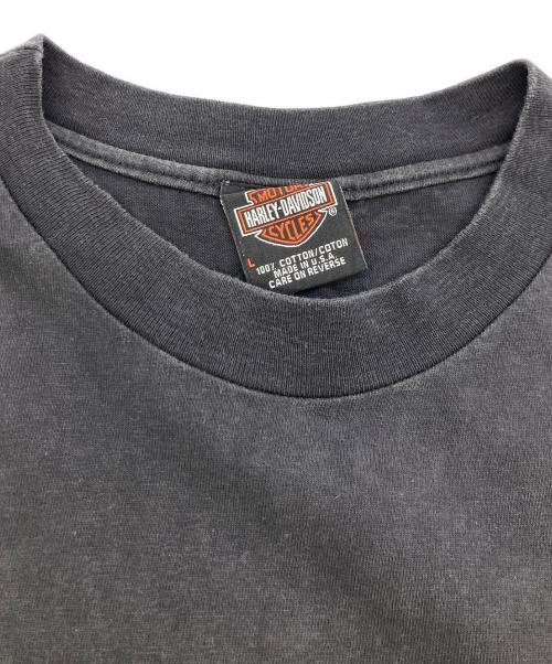 HARLEY-DAVIDSON（ハーレーダビッドソン）HARLEY-DAVIDSON (ハーレーダビッドソン) SMITHFIELD,NC 100YEARS 3DプリントTシャツ ブラック サイズ:Lの古着・服飾アイテム