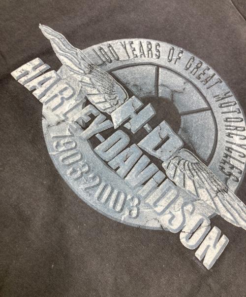 HARLEY-DAVIDSON（ハーレーダビッドソン）HARLEY-DAVIDSON (ハーレーダビッドソン) SMITHFIELD,NC 100YEARS 3DプリントTシャツ ブラック サイズ:Lの古着・服飾アイテム