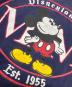 Disneyの古着・服飾アイテム：10000円