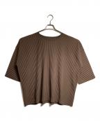 HOMME PLISSE ISSEY MIYAKEオム プリッセ イッセイ ミヤケ）の古着「プリーツカットソー/Pleated cut and sew」｜ブラウン