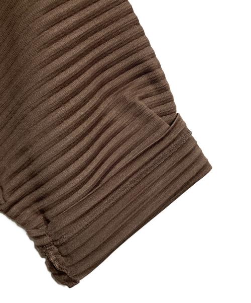 HOMME PLISSE ISSEY MIYAKE（オム プリッセ イッセイ ミヤケ）HOMME PLISSE ISSEY MIYAKE (オム プリッセ イッセイ ミヤケ) プリーツカットソー/Pleated cut and sew ブラウン サイズ:3の古着・服飾アイテム