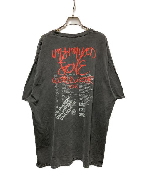 RED HOT CHILI PEPPERS（レッドホットチリペッパーズ）RED HOT CHILI PEPPERS (レッドホットチリペッパーズ) 2022-2023worldTour バンドトーテムTシャツ ブラック サイズ:	SIZE XLの古着・服飾アイテム