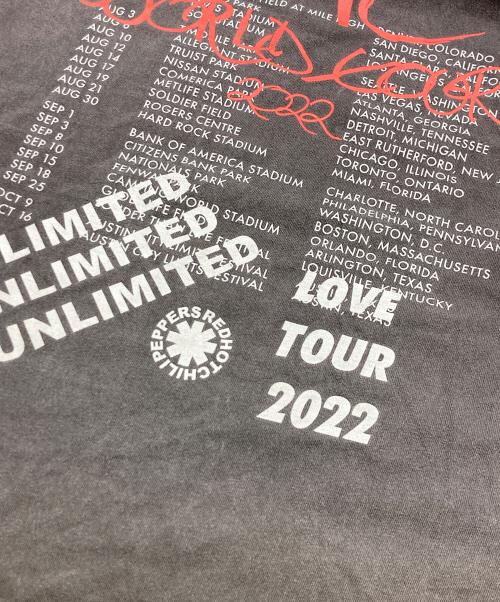 RED HOT CHILI PEPPERS（レッドホットチリペッパーズ）RED HOT CHILI PEPPERS (レッドホットチリペッパーズ) 2022-2023worldTour バンドトーテムTシャツ ブラック サイズ:	SIZE XLの古着・服飾アイテム