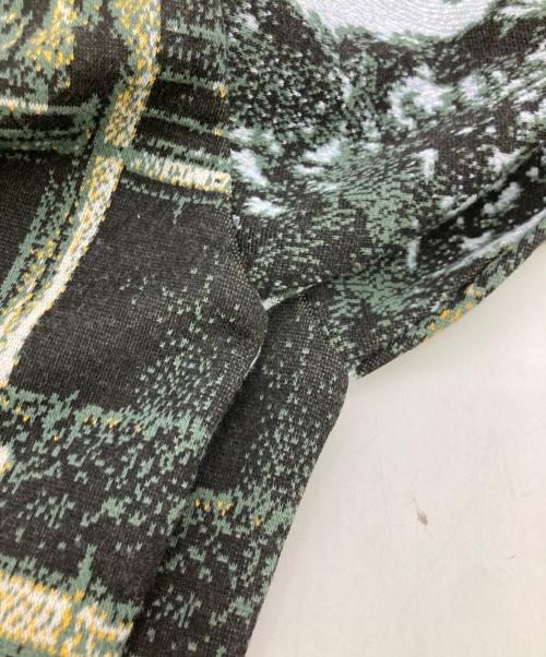 Hysteric Glamour（ヒステリックグラマー）Hysteric Glamour (ヒステリックグラマー) POOL SIDEジャカード スウェット グリーン サイズ:	SIZE XLの古着・服飾アイテム