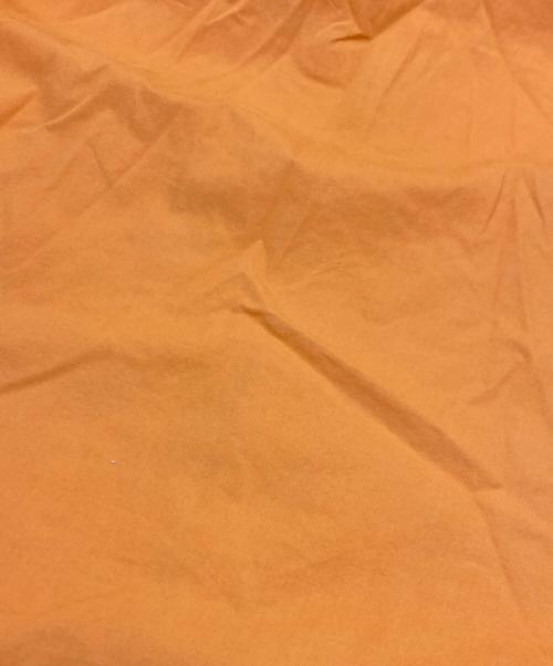 RALPH LAUREN（ラルフローレン）RALPH LAUREN (ラルフローレン) スモールポニー半袖ボタンダウンシャツ オレンジ サイズ:	SIZE Lの古着・服飾アイテム