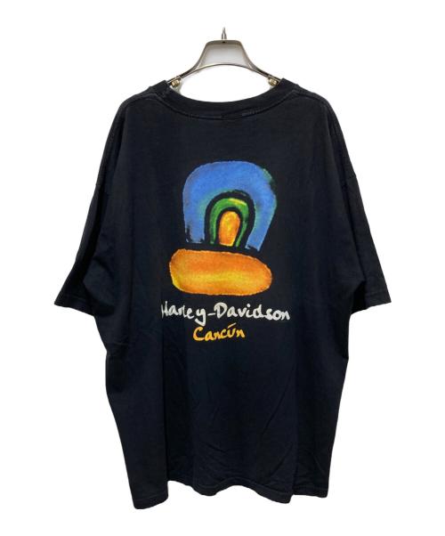 HARLEY-DAVIDSON（ハーレーダビッドソン）HARLEY-DAVIDSON (ハーレーダビッドソン) アートプリントTシャツ ブラック サイズ:XLの古着・服飾アイテム