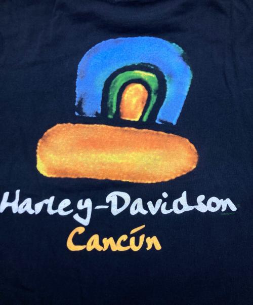 HARLEY-DAVIDSON（ハーレーダビッドソン）HARLEY-DAVIDSON (ハーレーダビッドソン) アートプリントTシャツ ブラック サイズ:XLの古着・服飾アイテム