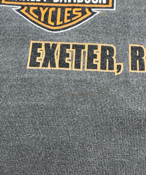HARLEY-DAVIDSON（ハーレーダビッドソン）HARLEY-DAVIDSON (ハーレーダビッドソン) イーグルプリントTシャツ グレー サイズ:ＸＬの古着・服飾アイテム