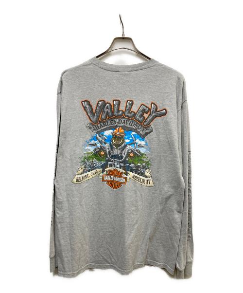 HARLEY-DAVIDSON（ハーレーダビッドソン）HARLEY-DAVIDSON (ハーレーダビッドソン) 00s スカルプリントカットソー グレー サイズ:Lの古着・服飾アイテム