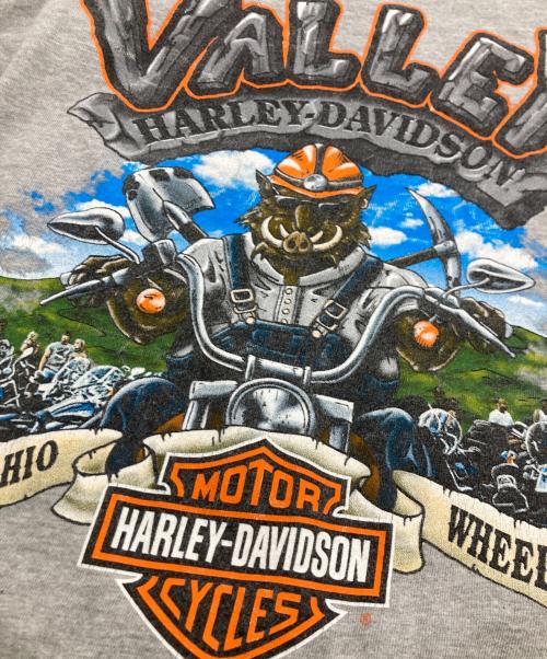HARLEY-DAVIDSON（ハーレーダビッドソン）HARLEY-DAVIDSON (ハーレーダビッドソン) 00s スカルプリントカットソー グレー サイズ:Lの古着・服飾アイテム
