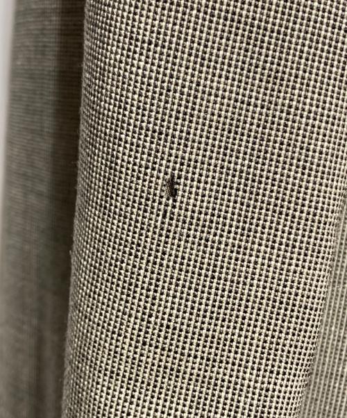 COMME des GARCONS HOMME DEUX（コムデギャルソン オム ドゥ）COMME des GARCONS HOMME DEUX (コムデギャルソン オム ドゥ) セットアップスーツ ブラウン サイズ:ジャケットL　パンツMの古着・服飾アイテム