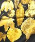 HERMESの古着・服飾アイテム：16000円