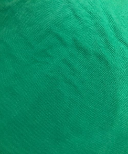 LACOSTE（ラコステ）LACOSTE (ラコステ) ポロシャツ グリーン サイズ:表記なしの古着・服飾アイテム