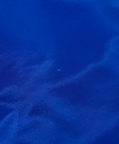 POLO RALPH LAUREN（ポロ・ラルフローレン）POLO RALPH LAUREN (ポロ・ラルフローレン) マウンテンパーカー ブルー サイズ:Ｓの古着・服飾アイテム