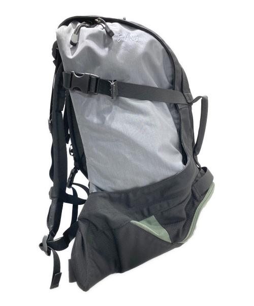 ARC'TERYX（アークテリクス）ARC'TERYX (アークテリクス) BEAMS (ビームス) 別注 Sebring 25の古着・服飾アイテム