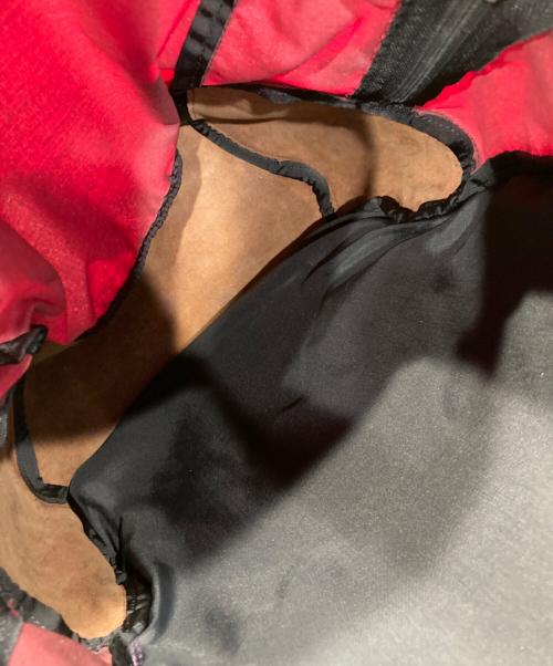 GREGORY（グレゴリー）GREGORY (グレゴリー) リュック レッドの古着・服飾アイテム