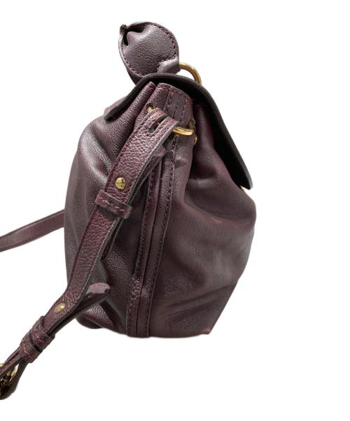 Chloe（クロエ）Chloe (クロエ) 2WAYショルダーバッグ パープルの古着・服飾アイテム