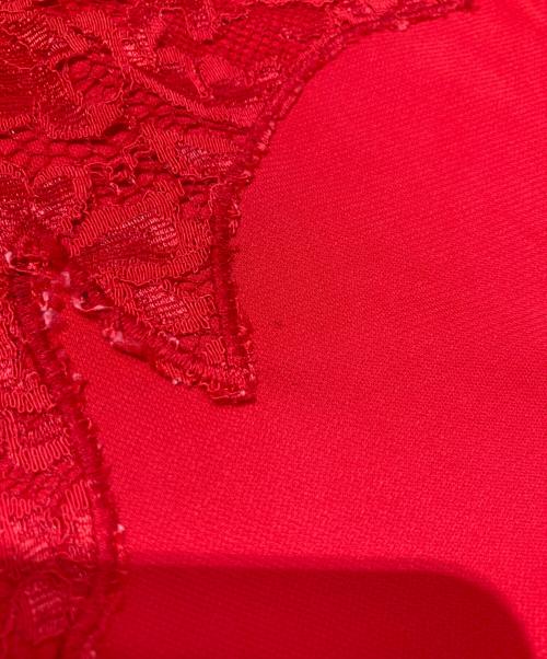 TOKUKO1erVOL（トクコプルミエヴォル）TOKUKO1erVOL (トクコプルミエヴォル) ノースリーブレースワンピース レッド サイズ:9の古着・服飾アイテム