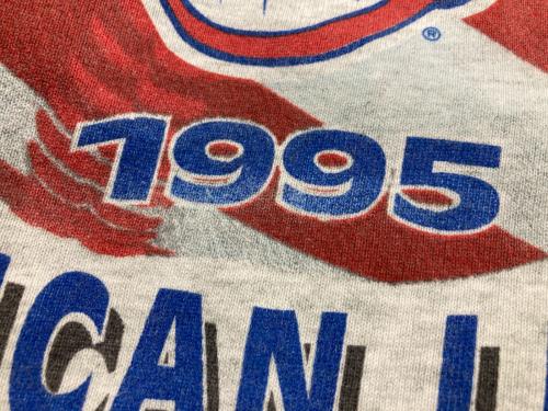 STARTER（スターター）STARTER (スターター) プリントスウェット グレー サイズ:Lの古着・服飾アイテム