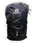 SALOMON（サロモン）の古着「トレイルブレイザー 10L バックパック」｜ブラック