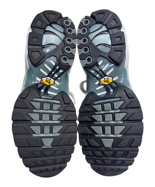NIKE（ナイキ）NIKE (ナイキ) AIR MAX PLUS ブルー サイズ:28㎝の古着・服飾アイテム