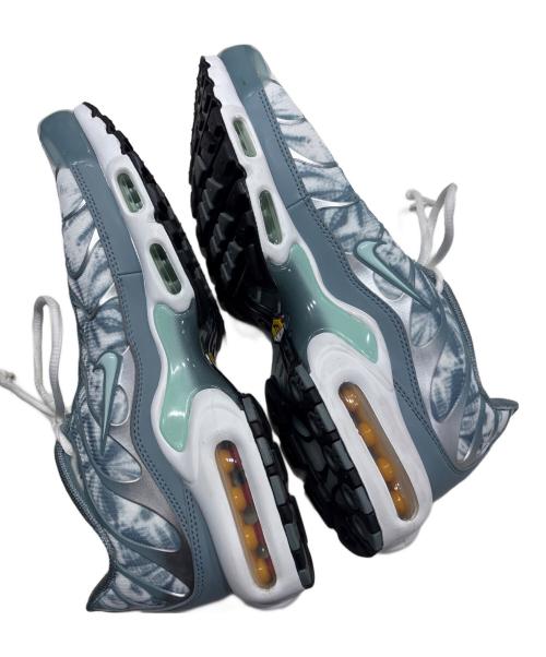 NIKE（ナイキ）NIKE (ナイキ) AIR MAX PLUS ブルー サイズ:28㎝の古着・服飾アイテム