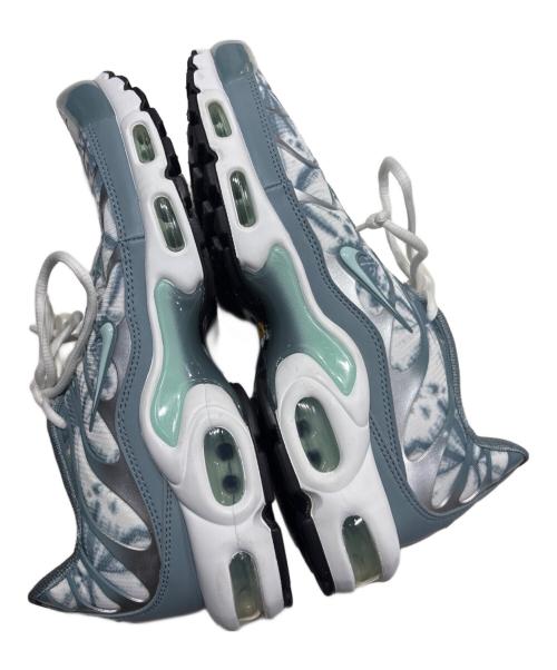 NIKE（ナイキ）NIKE (ナイキ) AIR MAX PLUS ブルー サイズ:28㎝の古着・服飾アイテム