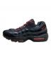 NIKE (ナイキ) Air Max 95 ブラック サイズ:28.5㎝：6000円