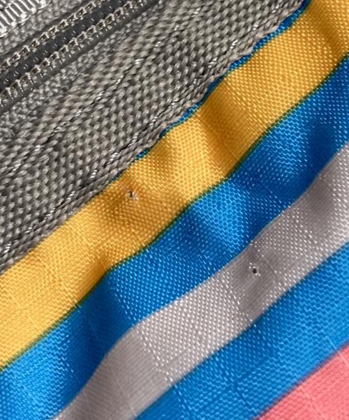 LeSportsac（レスポートサック）LeSportsac (レスポートサック) 2WAYバッグ マルチカラー サイズ:-の古着・服飾アイテム