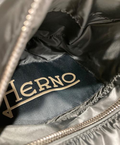 HERNO（ヘルノ）HERNO (ヘルノ) リバーシブルダウンベスト ブラック×グレー サイズ:46の古着・服飾アイテム