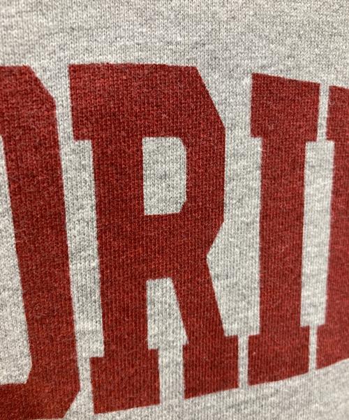 TMT（ティーエムティー）TMT (ティーエムティー) AMERICAN VINTAGE SWEAT PARKA(FLORIDA) グレー サイズ:Lの古着・服飾アイテム