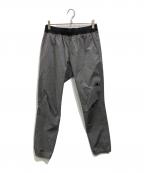 THE NORTH FACEザ ノース フェイス）の古着「トレーニングリブパンツ」｜グレー