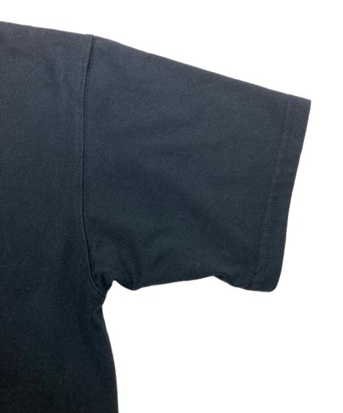 NIKE ACG（ナイキエーシージー）NIKE ACG (ナイキエーシージー) AS M NRG ACG SS TEE ブラック サイズ:Mの古着・服飾アイテム