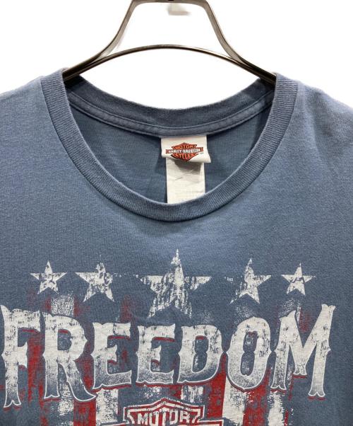 HARLEY-DAVIDSON（ハーレーダビッドソン）HARLEY-DAVIDSON (ハーレーダビッドソン) プリントTシャツ ブルー サイズ:Lの古着・服飾アイテム