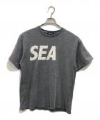 WIND AND SEAウィンダンシー）の古着「SEA CRACK-P-DYE S/S Tee 