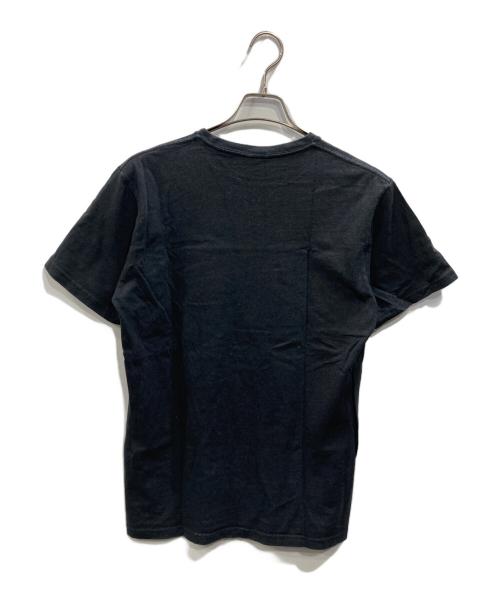 stussy（ステューシー）stussy (ステューシー) Fresh Classic Tee（フレッシュクラシックティー） ブラック サイズ:SIZE Mの古着・服飾アイテム