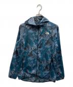 THE NORTH FACEザ ノース フェイス）の古着「Novelty Swallowtail Vent Hoodie」｜ブルー