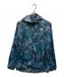 THE NORTH FACE（ザ ノース フェイス）の古着「Novelty Swallowtail Vent Hoodie」｜ブルー