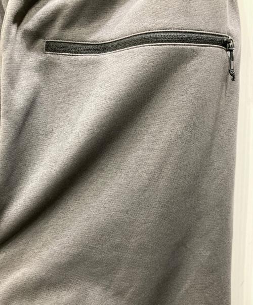 THE NORTH FACE（ザ ノース フェイス）THE NORTH FACE (ザ ノース フェイス) モーションジョガーパンツ グレー サイズ:Lの古着・服飾アイテム