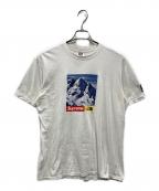 SUPREME×THE NORTH FACEシュプリーム×ザ ノース フェイス）の古着「17FW MOUNTAIN TEE」｜ホワイト
