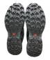 SALOMONの古着・服飾アイテム：10000円