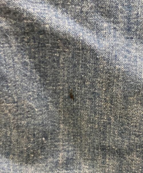 Sears（シアーズ）Sears (シアーズ) ブランケットライニング デニム カバーオール インディゴ サイズ:42‐44の古着・服飾アイテム